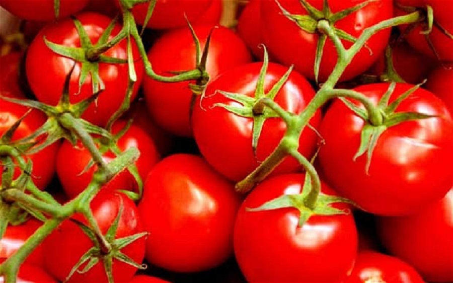 How to Grow Delicious Juicy Tomatoes! - The Country Gal