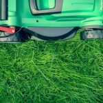 How to Buy the Best Lawn Mower for Your Gardening Needs