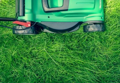How to Buy the Best Lawn Mower for Your Gardening Needs