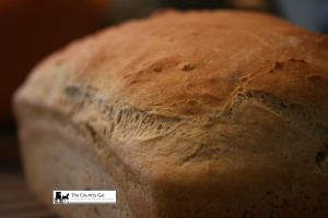 Amish Wheat Bread