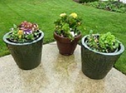 container garden