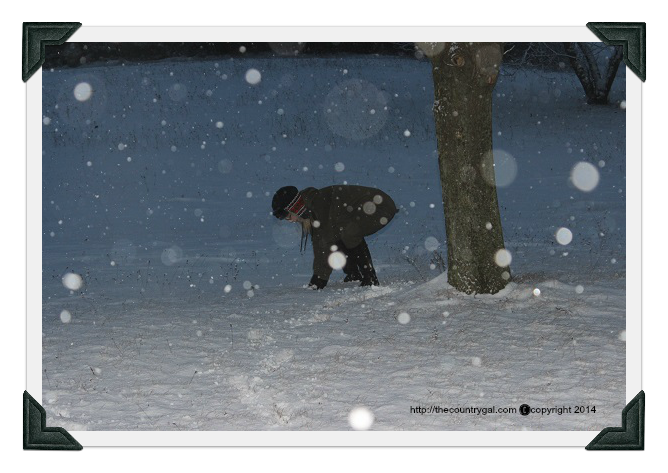 雪球大战2014